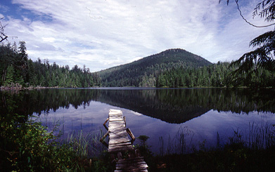 Eric Lake