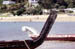 Maori boats
