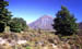 Mt_Ngauruhoe2