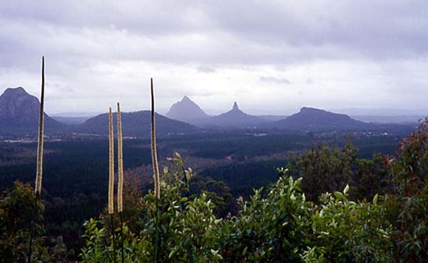 030Glass House Mountains