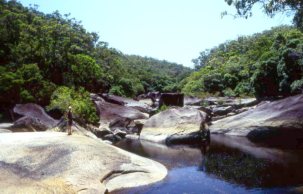 05Roaring-Meg-Male-Side