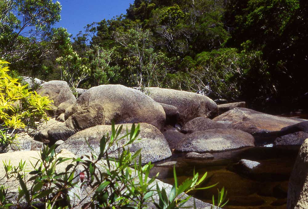 07Roaring-Meg-Male-Side