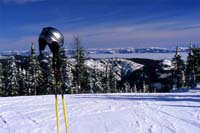 15Skiing at 49 Degrees