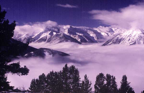 dpanorama
