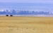 2plains3