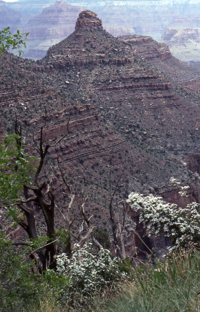 22Grand-Canyon